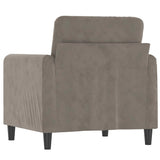 vidaXL Fauteuil 60 cm fluweel lichtgrijs