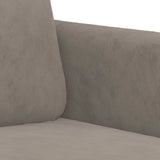 vidaXL Fauteuil 60 cm fluweel lichtgrijs