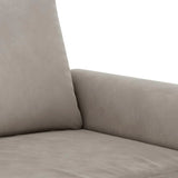 vidaXL Fauteuil 60 cm fluweel lichtgrijs