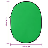 vidaXL Studio Collapsible Backdrop 2-in-1 Oval 200x150 cm Green and Blue