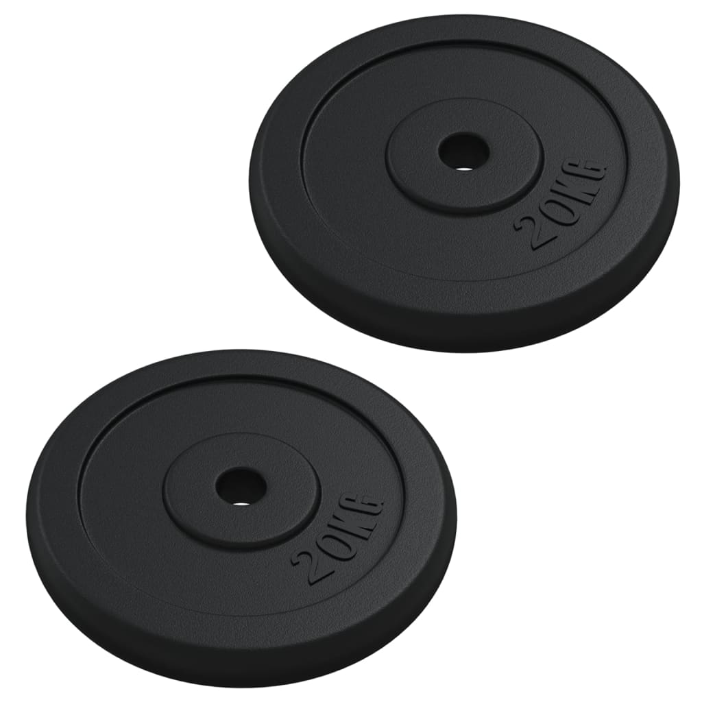 vidaXL Halterschijf 40 kg gietijzer