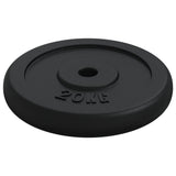 vidaXL Halterschijf 40 kg gietijzer