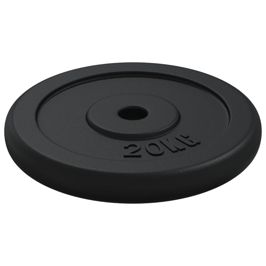 vidaXL Halterschijf 40 kg gietijzer