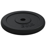 vidaXL Halterschijf 40 kg gietijzer