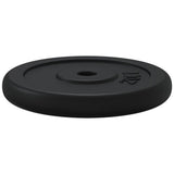 vidaXL Halterschijf 40 kg gietijzer