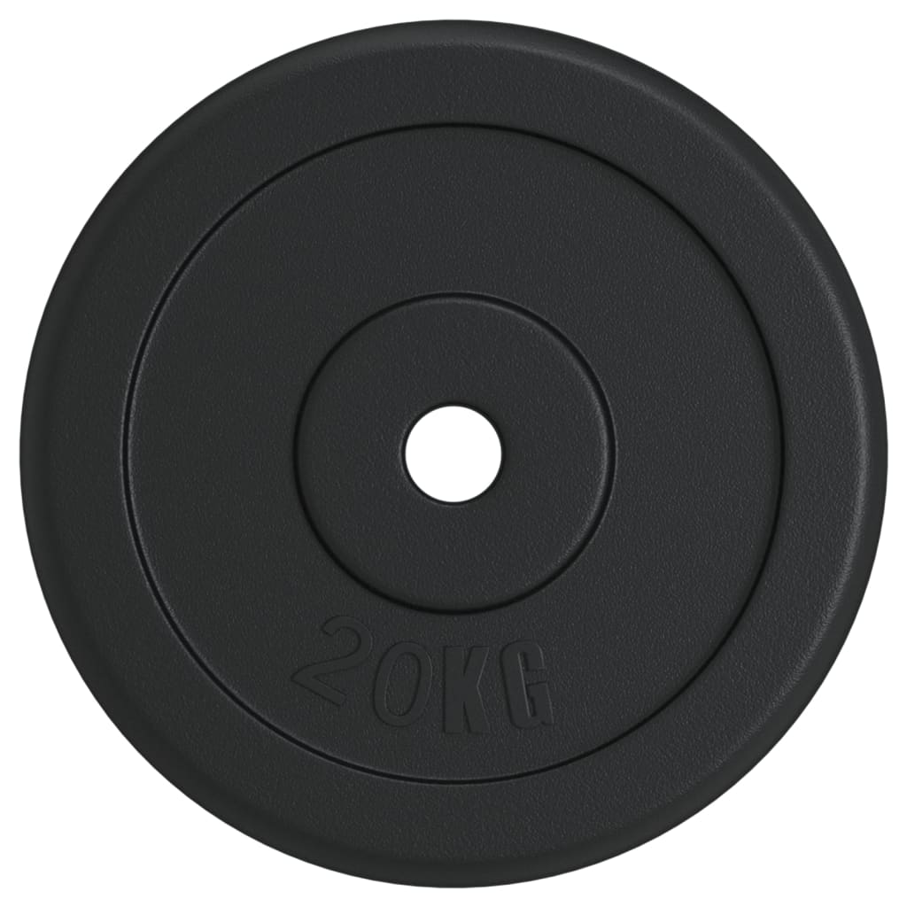 vidaXL Halterschijf 40 kg gietijzer
