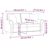 vidaXL Two-seater Sofa with Cushions 120 cm Fabric Dark Grey