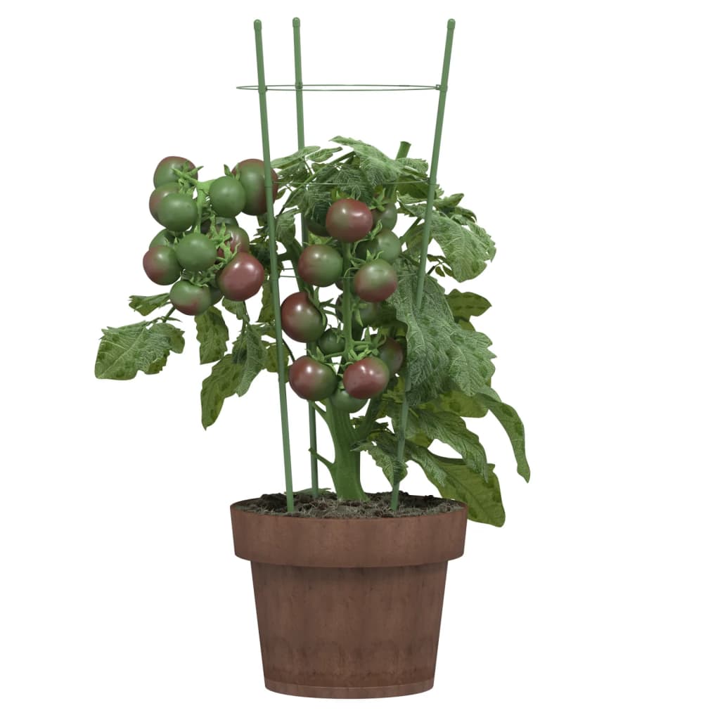 vidaXL Plantensteunen 5 st met 3 ringen 45 cm staal groen