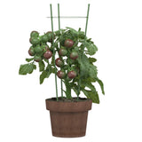 vidaXL Plantensteunen 5 st met 3 ringen 45 cm staal groen