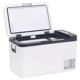 vidaXL Koelbox met handvat en adapter 18 L PP & PE zwart en wit