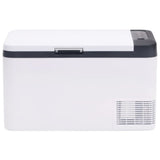vidaXL Koelbox met handvat en adapter 18 L PP & PE zwart en wit