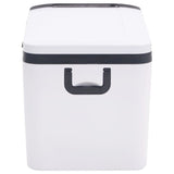 vidaXL Koelbox met handvat en adapter 18 L PP & PE zwart en wit