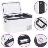 vidaXL Koelbox met handvat en adapter 18 L PP & PE zwart en wit