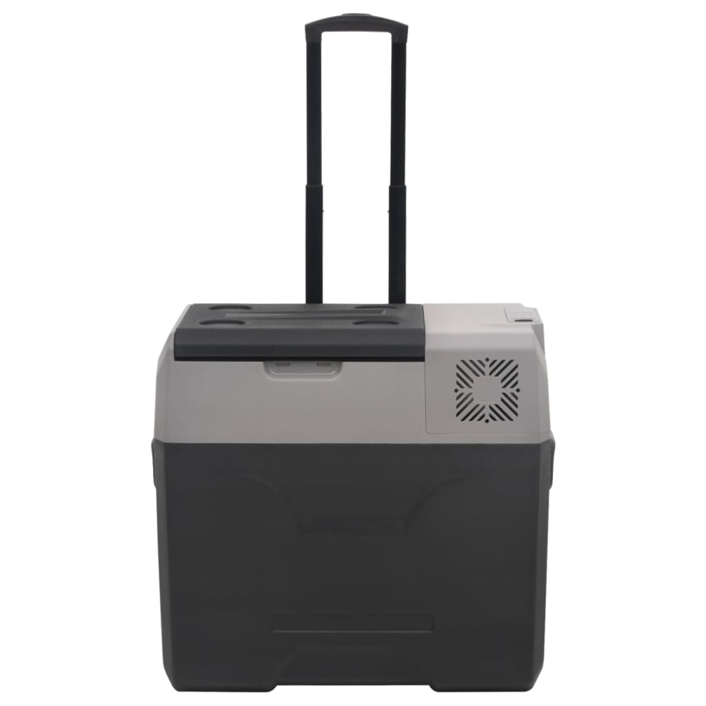 vidaXL Koelbox met wielen en adapter 30 L polypropeen zwart en grijs