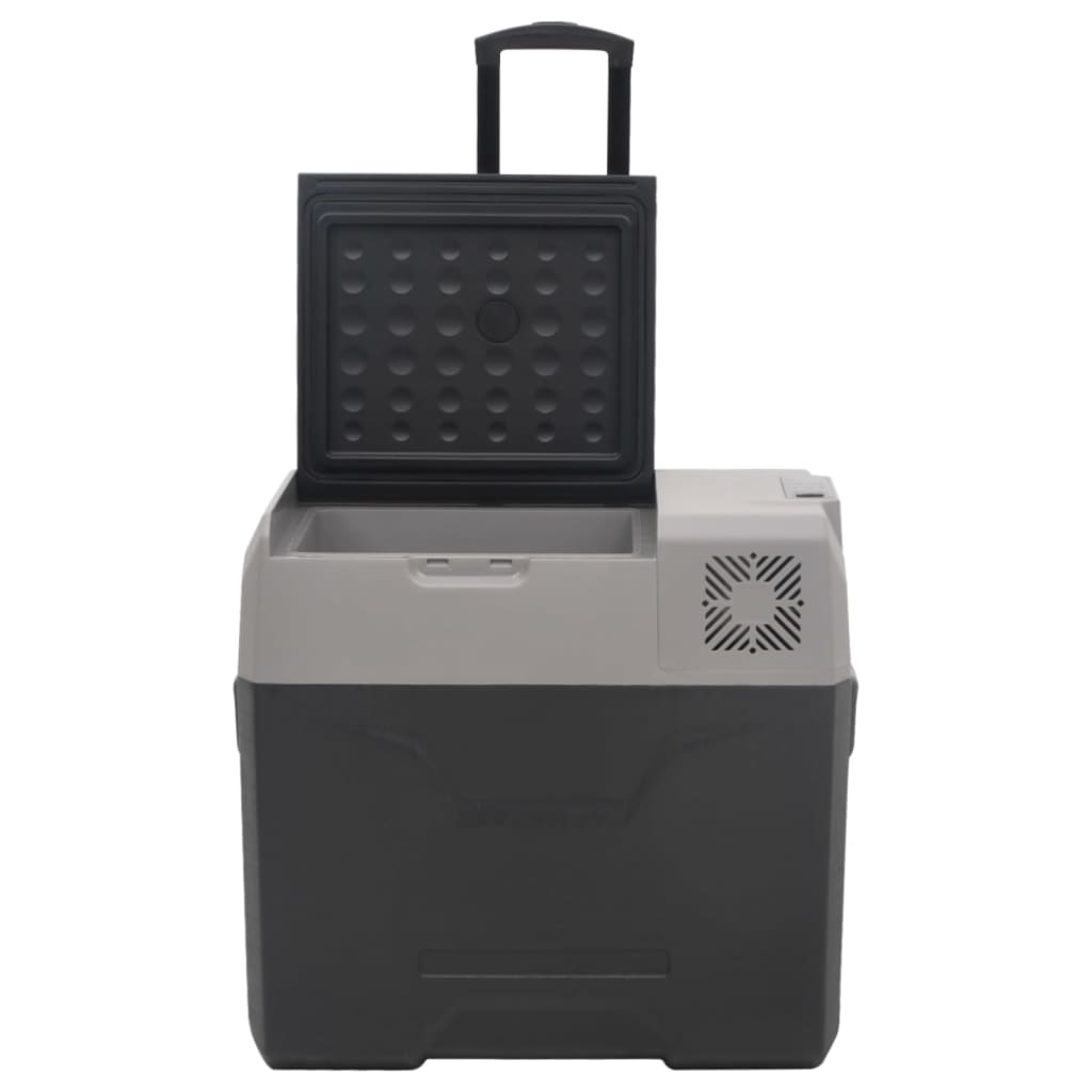 vidaXL Koelbox met wielen en adapter 30 L polypropeen zwart en grijs
