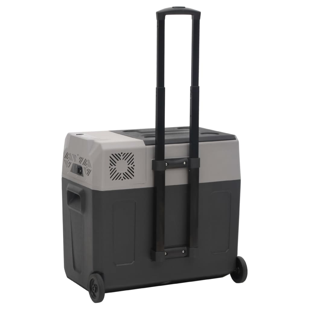 vidaXL Koelbox met wielen en adapter 30 L polypropeen zwart en grijs