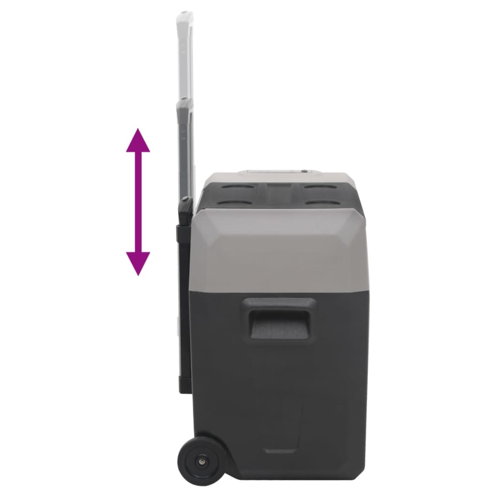 vidaXL Koelbox met wielen en adapter 30 L polypropeen zwart en grijs