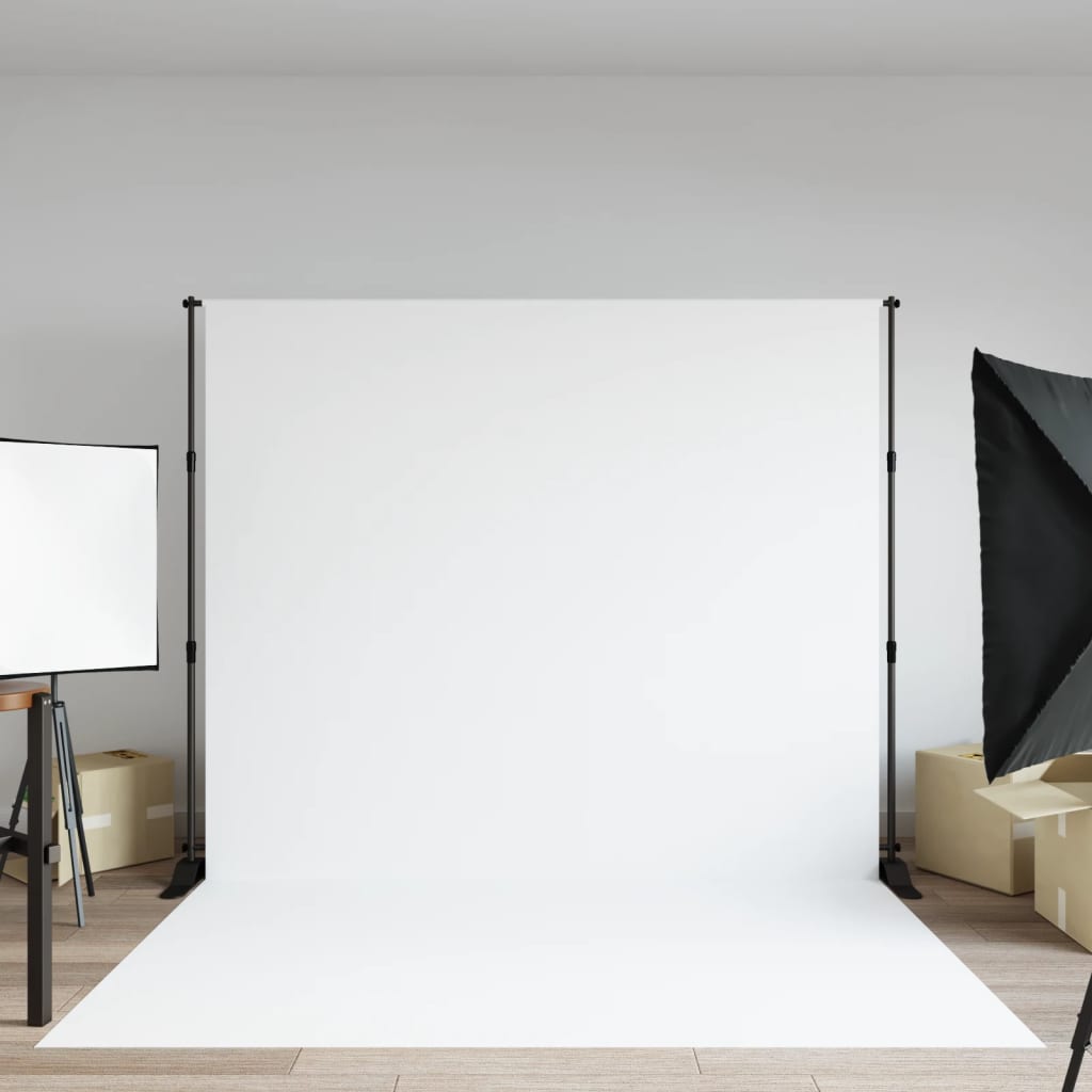 vidaXL Background Stand 254x243 cm Steel Black