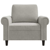 vidaXL Fauteuil 60 cm fluweel lichtgrijs