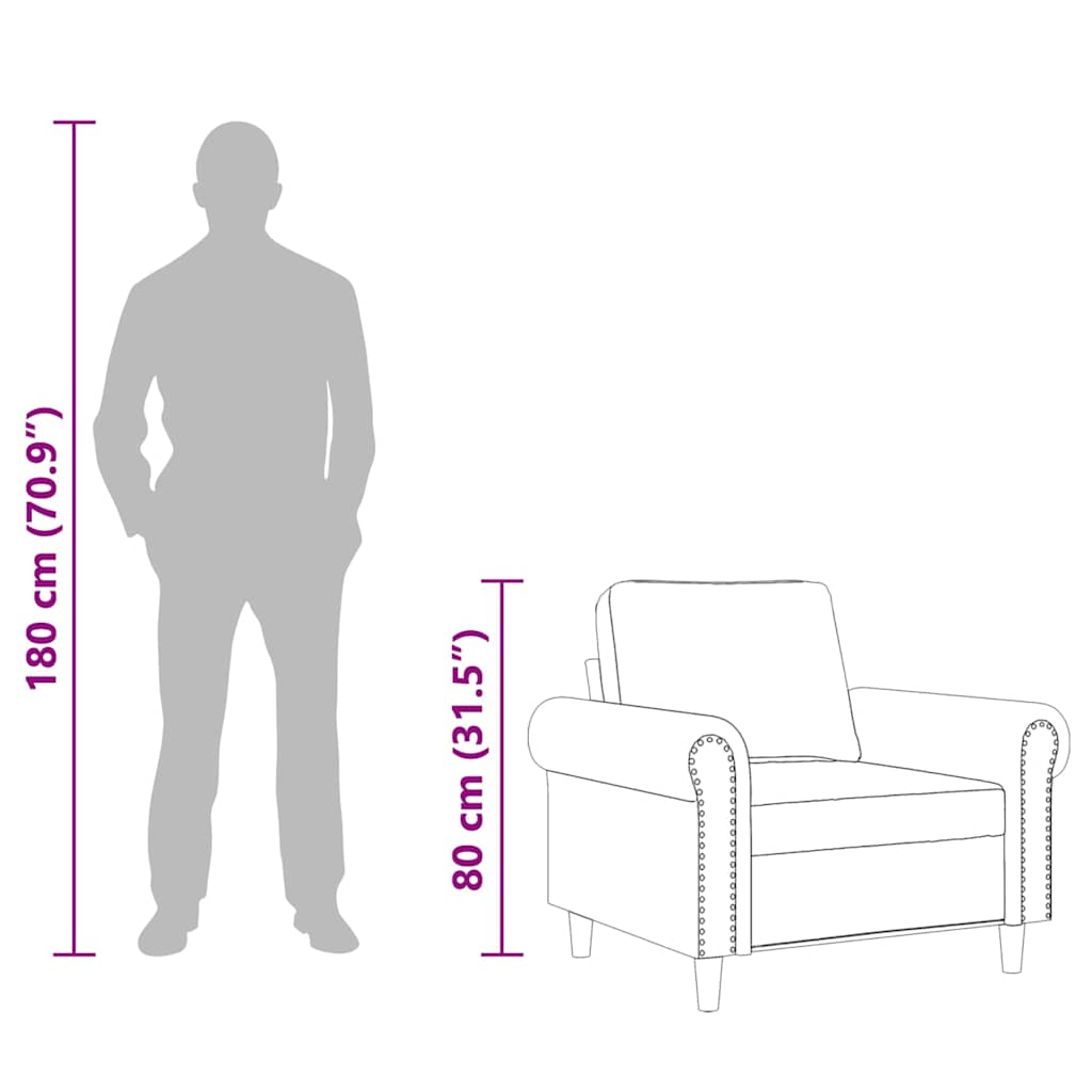 vidaXL Fauteuil 60 cm fluweel lichtgrijs