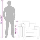 vidaXL Fauteuil 60 cm stof lichtgrijs