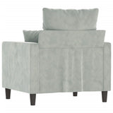 vidaXL Fauteuil 60 cm fluweel lichtgrijs