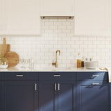vidaXL Handles 10 pcs 64 mm stainless steel silver-coloured