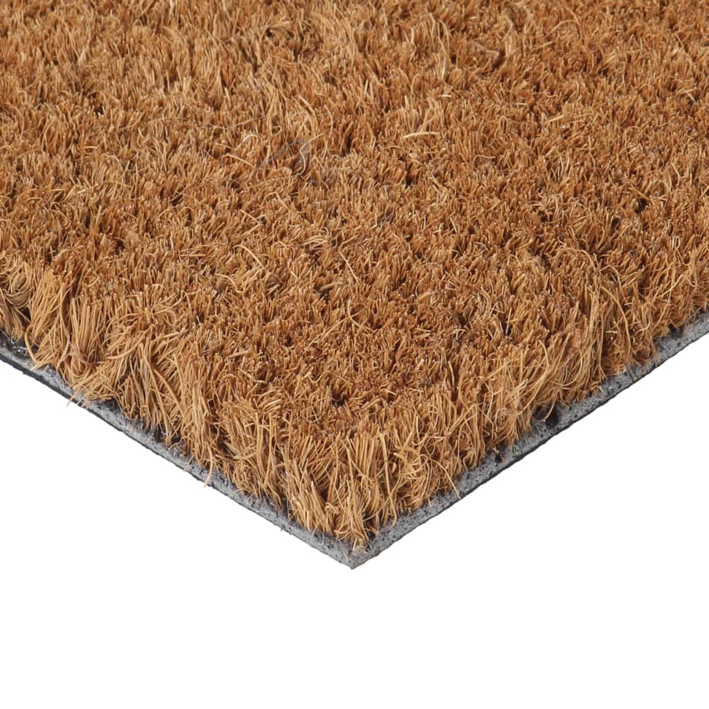 vidaXL Deurmat 40x60 cm getufte kokosvezel naturel