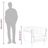 vidaXL Armchair velvet light grey