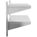 vidaXL Wandschap 2-laags 100x40x60 cm roestvrijstaal zilverkleurig