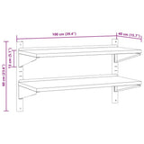vidaXL Wandschap 2-laags 100x40x60 cm roestvrijstaal zilverkleurig