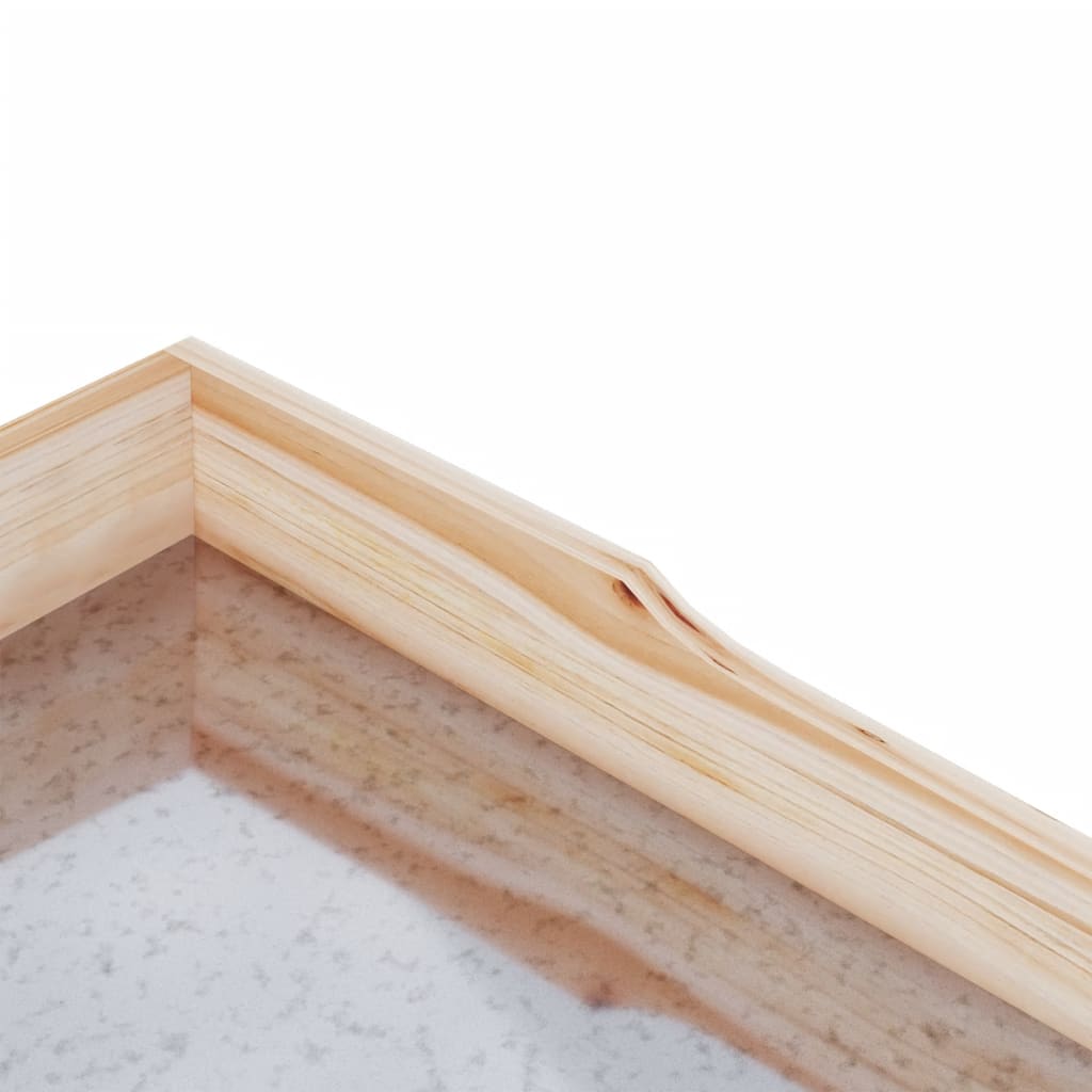 vidaXL Plantentafel met schappen 78x38x82,5 cm massief vurenhout