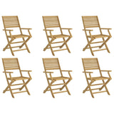 vidaXL Tuinstoelen 6 st inklapbaar 54,5x61,5x86,5 cm acaciahout