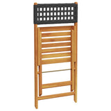 vidaXL Tuinstoelen 4 st inklapbaar poly rattan en massief hout zwart