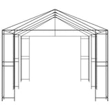 vidaXL Gazebo Frame 6 x 3 m Zwart Staal