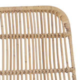 vidaXL Eetstoel 2 pcs Naturel 41 x 55 x 85 cm Riet en Staal