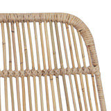 vidaXL Barkruk 2 pcs Naturel 44 x 55 x 109 cm Riet en Staal