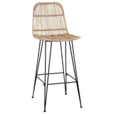 vidaXL Barkruk 2 pcs Naturel 44 x 55 x 109 cm Riet en Staal