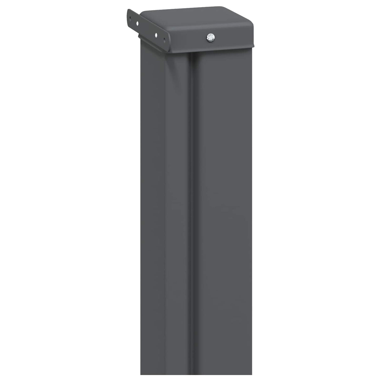 vidaXL Retractable Side Awning Anthracite 300 x 100 cm Polyester