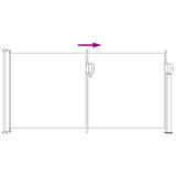 vidaXL Retractable Side Awning Anthracite 300 x 100 cm Polyester