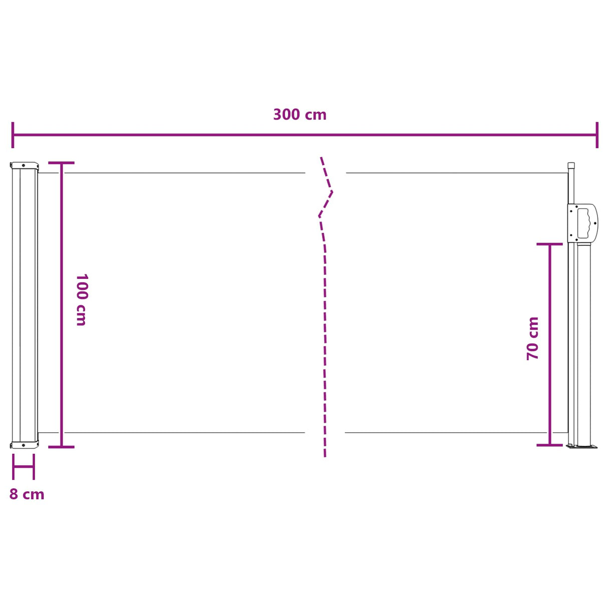 vidaXL Retractable Side Awning Anthracite 300 x 100 cm Polyester