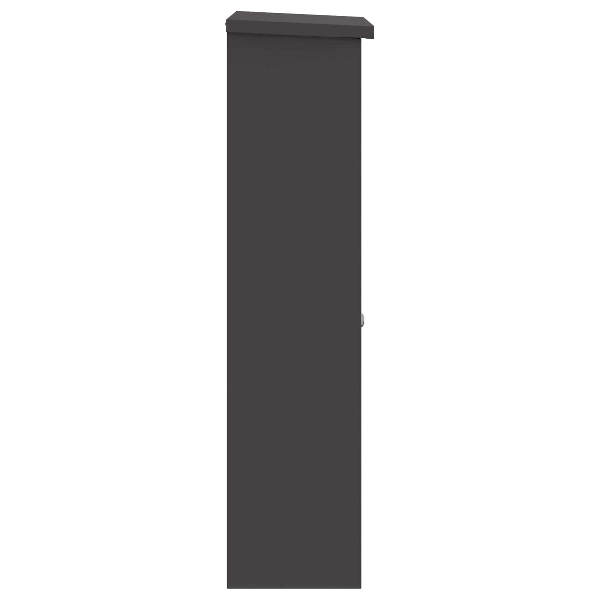 vidaXL Pakket Inwerpkoker met opslag Zwart 44,5 x 29 x 110,5 cm Staal