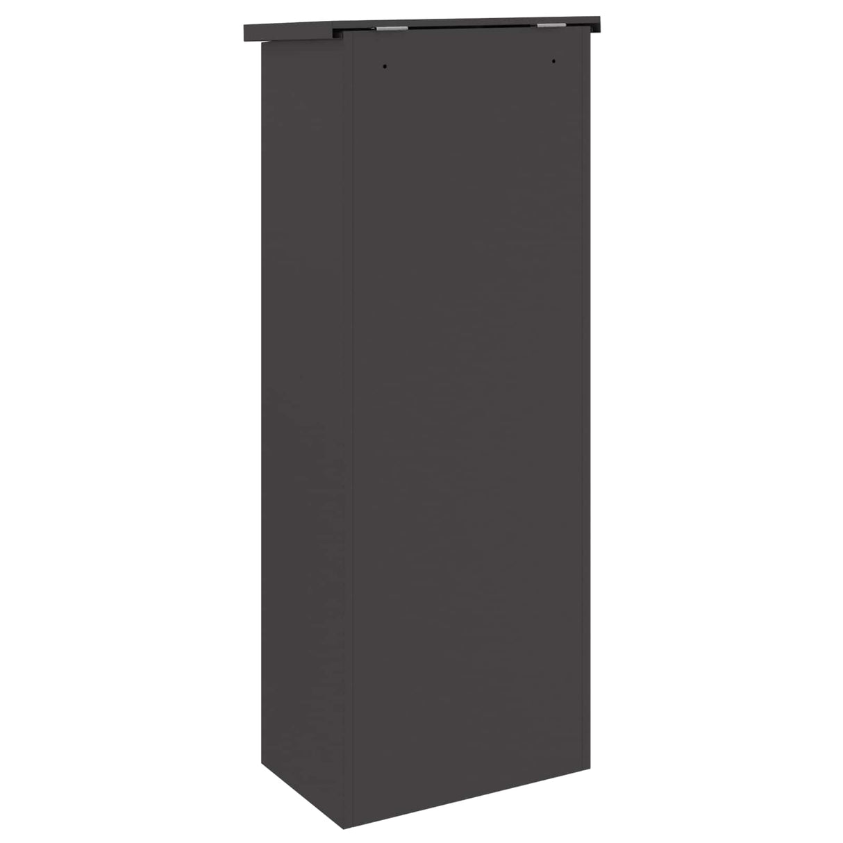 vidaXL Pakket Inwerpkoker met opslag Zwart 44,5 x 29 x 110,5 cm Staal