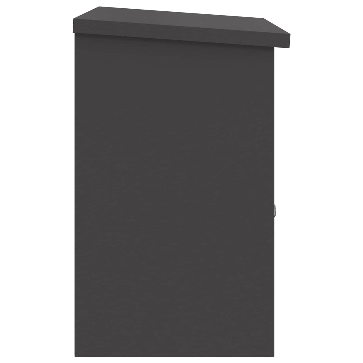 vidaXL Pakket Inwerpkoker met opslag Zwart 47.5 x 38 x 59 cm Staal