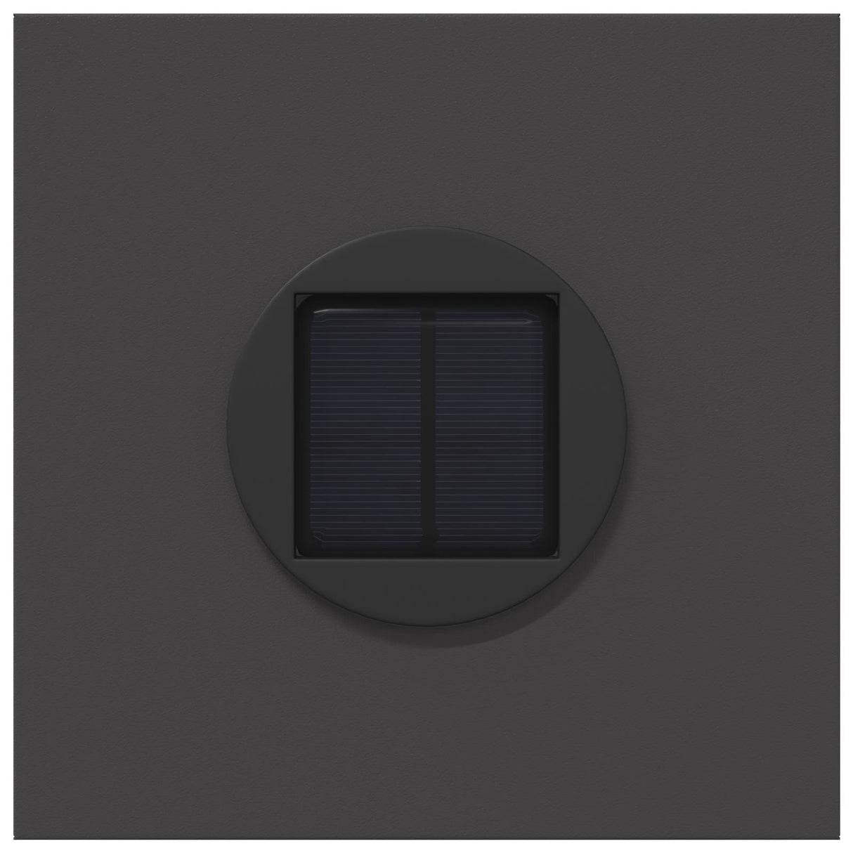 vidaXL Solar LED Pathway Light 2 pcs Black Cold Rolled Steel