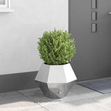 vidaXL Plantenbak Zwart 100 x 100 x 80 cm Staal