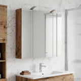vidaXL Badkamerspiegelkast voor Wit 60 x 14,5 x 50 cm Bewerkt hout