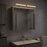 vidaXL Badkamerspiegelkast Wit 43 x 16 x 62.5 cm Bewerkt hout