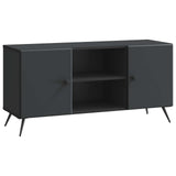 vidaXL TV Kast Zwart 102 x 34,5 x 50 cm Bewerkt hout