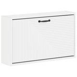 vidaXL Wandgemonteerde Schoenenkast HAARLEM 71 x 17 x 43 cm Wit